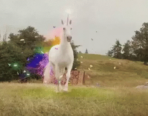 Unicorns GIF