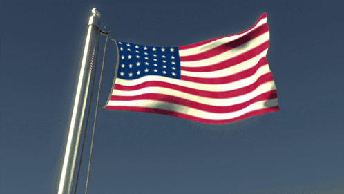Union Usa GIF