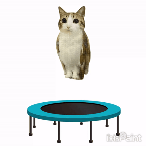 Uniquetagtofindmystickers Meowl Meme GIF