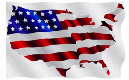 United State Flag Usa GIF