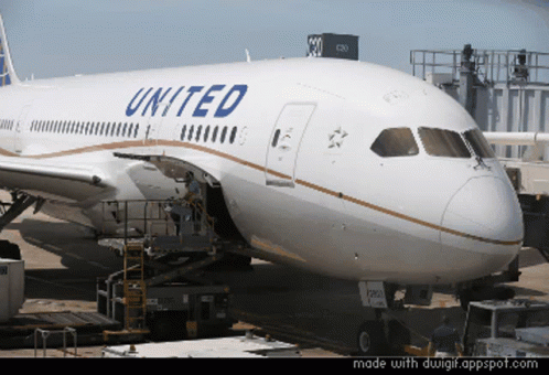 United United Airlines GIF. This 498 x 340 animated GIF is part of our funny airplane collection. Created by AdamKoralik. View the original animation, share…