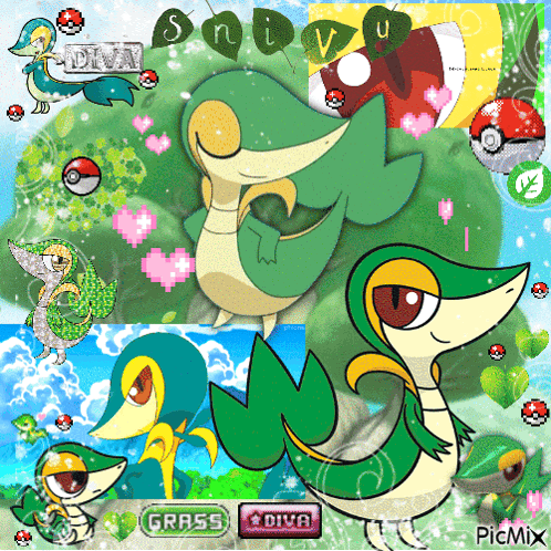 Unova Starter Pokemon GIF