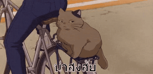 มีเลศนัย น่าสงสัย ไม่น่าไว้ใจ GIF