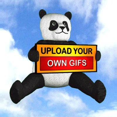 Upload Your Own Panda With Sign GIF
