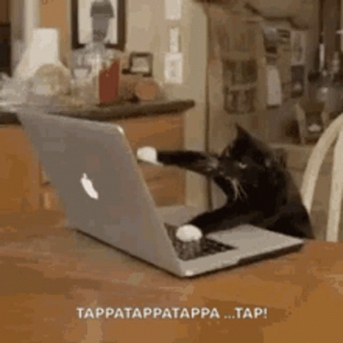 Ur Mom GIF
