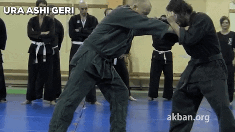 Ura Ashi Geri GIF. This 480 x 270 animated GIF is part of our hingle mccringleberry collection. Created by Arooz. View the original animation, share it, or…