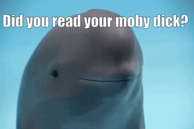 Ureadmobydick Whale GIF