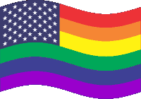 Us Usa Sticker