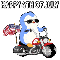 Usa America Sticker