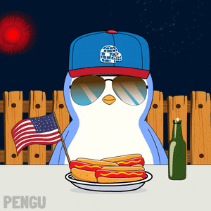 Usa America GIF
