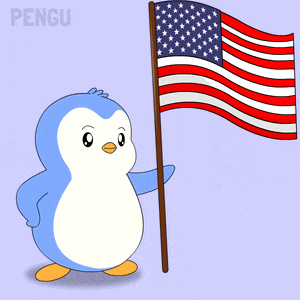 Usa America GIF
