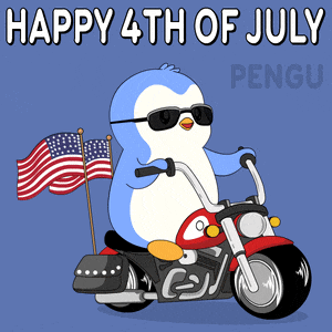 Usa America GIF