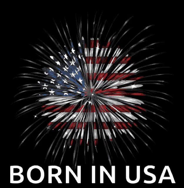 Usa America GIF