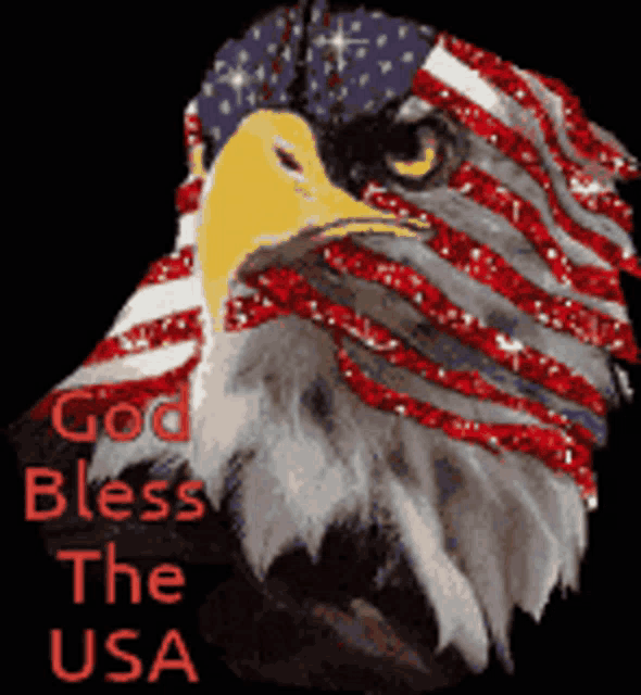 Usa Eagle GIF