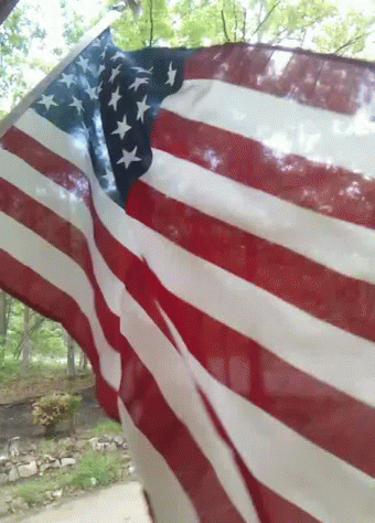Usa Flag GIF. This 340 x 474 animated GIF is part of our tiranga logo collection. View the original animation, share it, or browse related GIFs.