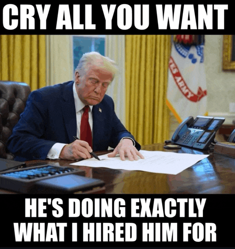 Usa Flag Meme