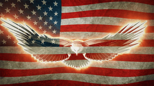 Usa United States Of America GIF