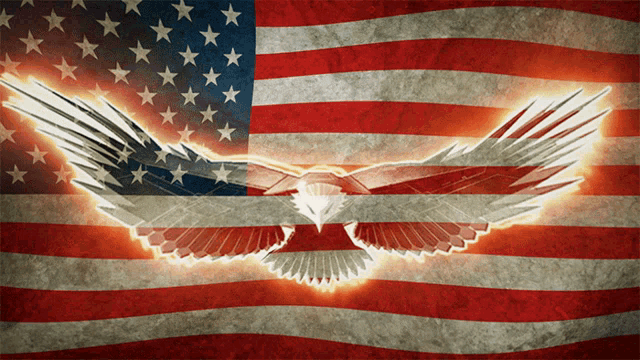 Usa United States Of America GIF