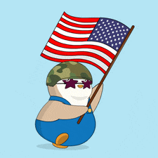 Usa United States GIF