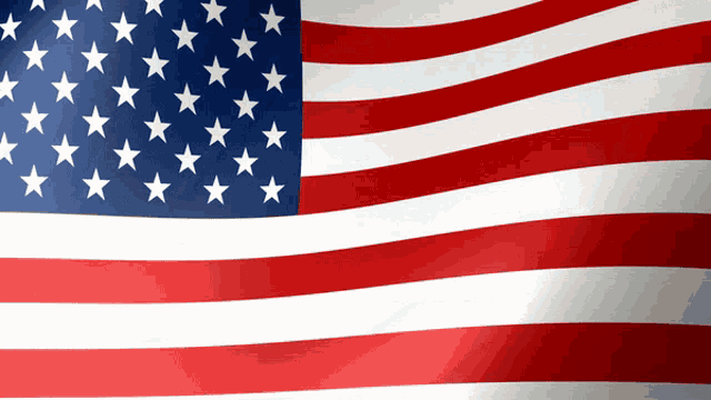 Usa Us Flag GIF