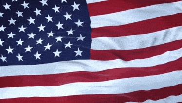 Usa Usa Flag GIF