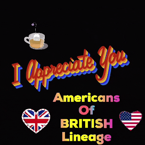 Usa Usa Usa GIF