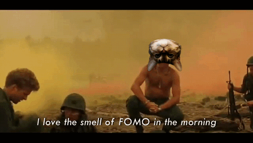 Usdcat Upsidedowncat GIF