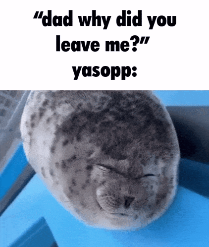Usopp Yasopp GIF