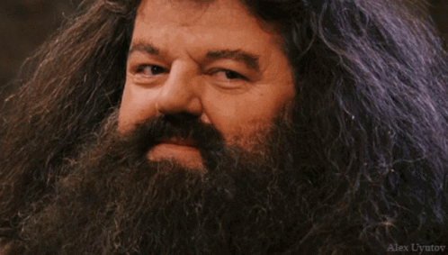 Uyutov Alexuyutov GIF. This 498 x 283 animated GIF is part of our hagrid collection. Created by Alex_Uyutov. View the original animation, share it, or…