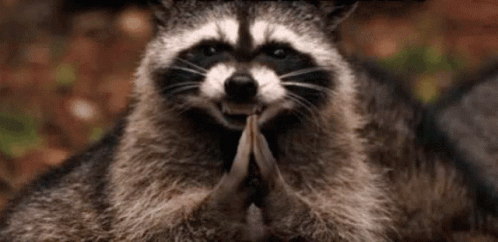 Vỗtay Raccoon GIF. This 498 x 242 animated GIF is part of our rubs hands together collection. Created by manhpao. View the original animation, share it, or…