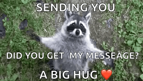 V A Sly GIF. This 498 x 282 animated GIF is part of our hug meme collection. Related themes include racoon. Created by QUEENBEEZS. View the original…