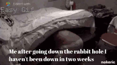 Vacate Fear Wonderbro GIF. This 498 x 280 animated GIF is part of our lustiges gewitter collection. Created by katiemarie10191991. View the original…