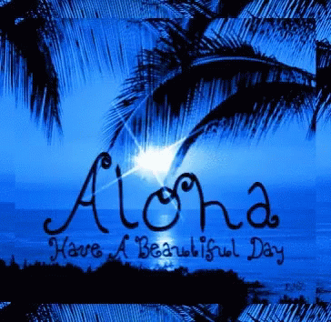 Vacation Aloha GIF