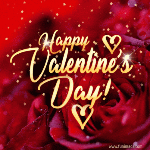 Valentines Day Card Messages GIF