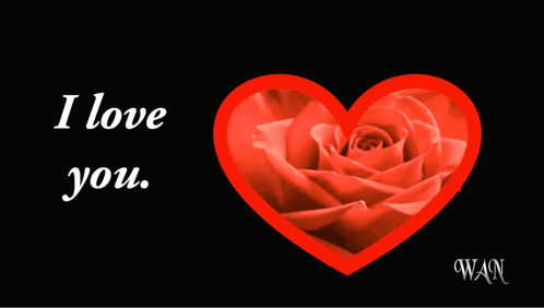 Valentine'S Day Happy Valentine'S Day GIF