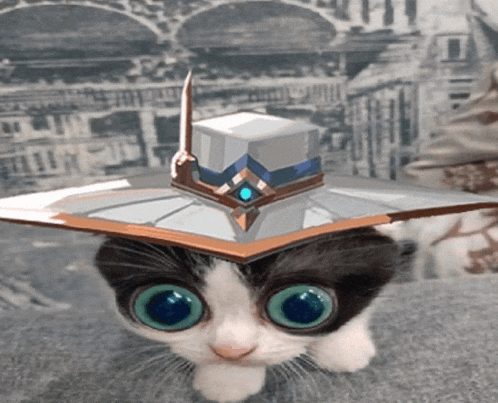 Valorant Meme