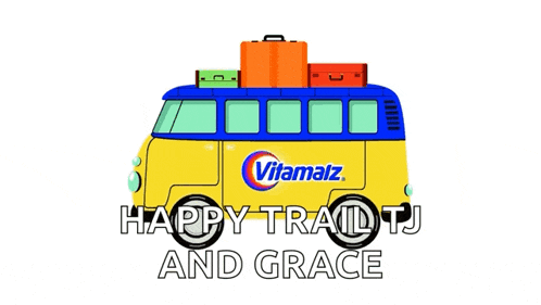 Van Van Life GIF