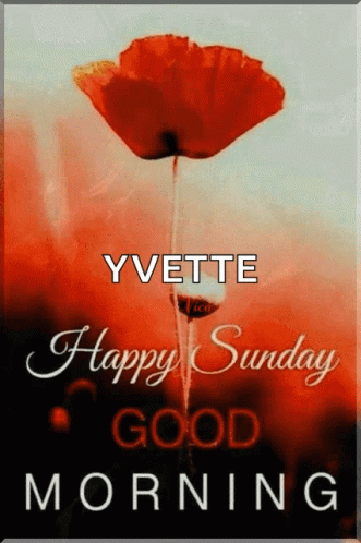 Vasárnap Happy GIF