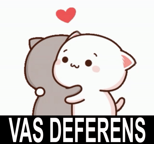 Vas Deferens Peach And Goma GIF. This 498 x 467 animated GIF is part of our hug meme collection. Related themes include cute, kawaii, love. Created by…