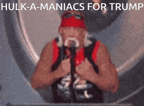 Vaughn Chat GIF. This 498 x 368 animated GIF is part of our hulk trump collection. Related themes include trump. Created by mewisemagic. View the original…
