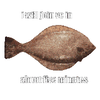 Vc Fish Spinning Fish Sticker