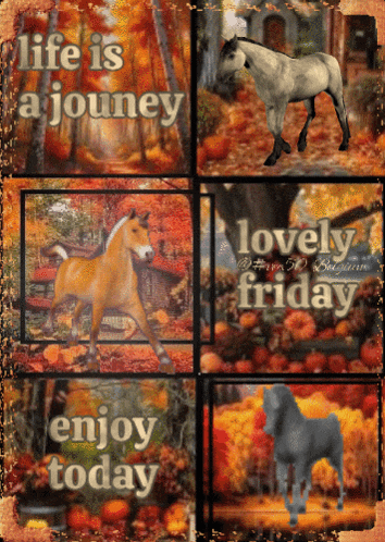 Vec50friday We GIF