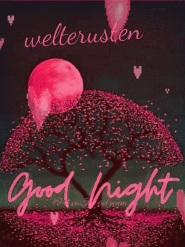Vec50goede Nacht Vec50goedenacht GIF