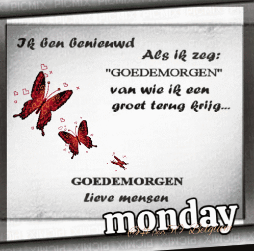Vec50maandag Vec50week GIF