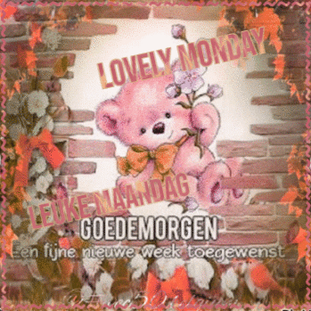 Vec50monday GIF