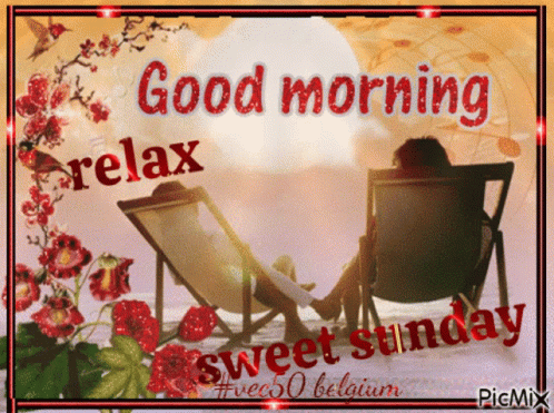 Vec50sunday Good Morning GIF