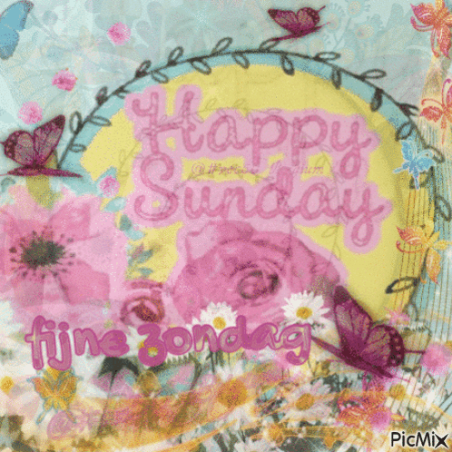Vec50sunday Zondag GIF