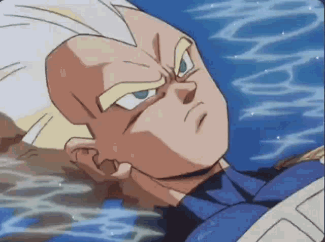 Vegeta GIF