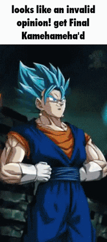 Vegito Vegito Blue GIF