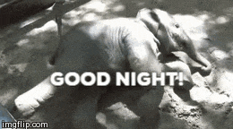 Veramesi Baby GIF